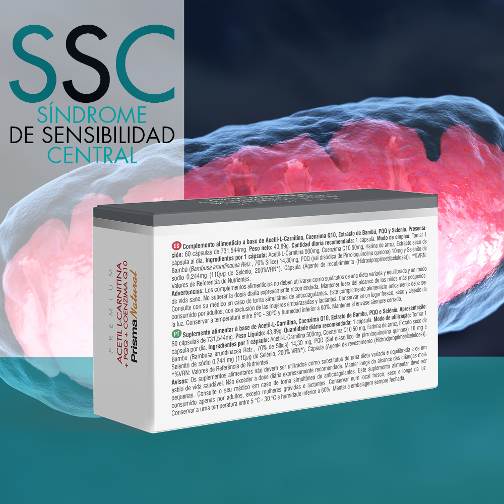 ACETIL L-CARNITINA + PQQ + COENZIMA Q10. 60 Cápsulas Prima Natural Premium - Imagen 4