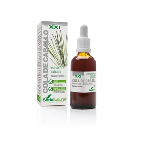 Cola de Caballo S.XXI Soria Natural