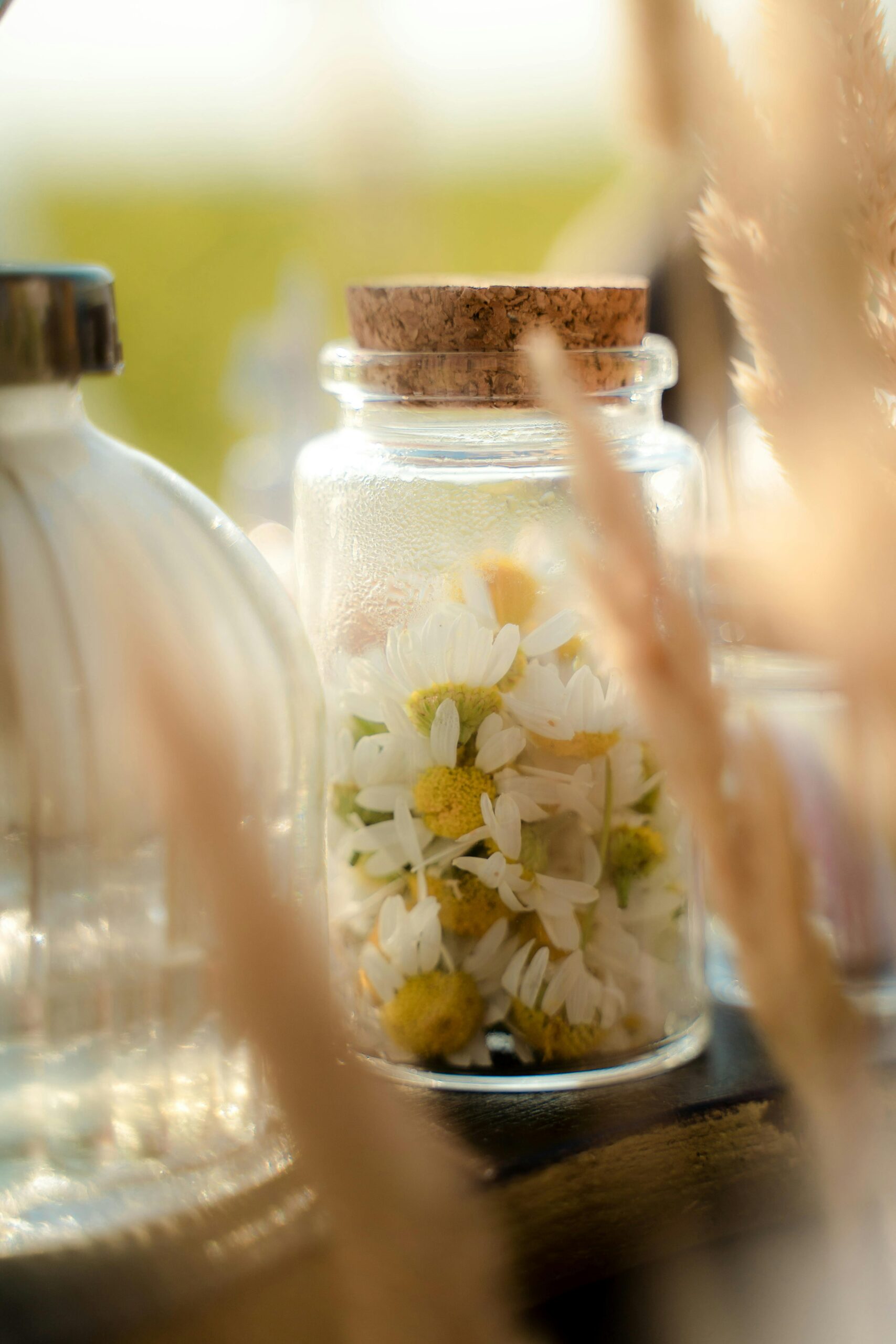 Close-up of fresh chamomile flowers sealed in a glass jar with a cork lid, surrounded by natural light.