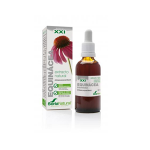 Equinácea S.XXI Soria Natural