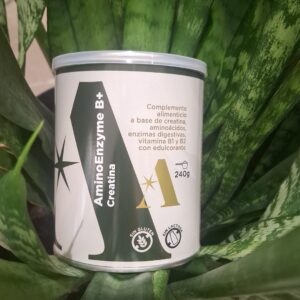 AminoEnzyme B+Creatina